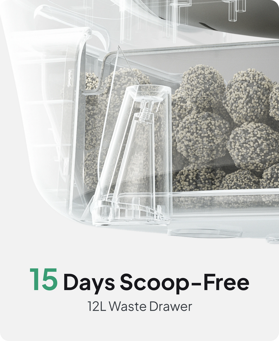 no scooping for 15 days